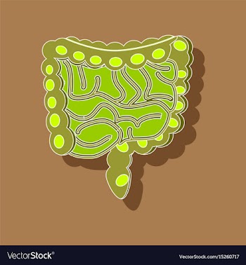 Gastrointestinal tract paper sticker on stylish vector image