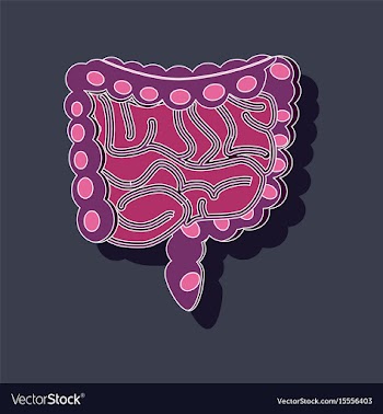 Gastrointestinal tract paper sticker on stylish vector image