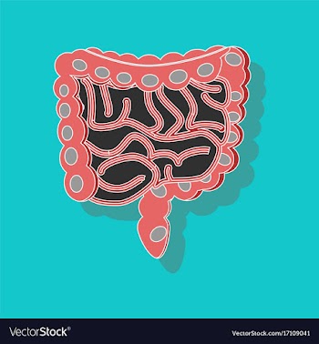 Gastrointestinal tract paper sticker on stylish vector image