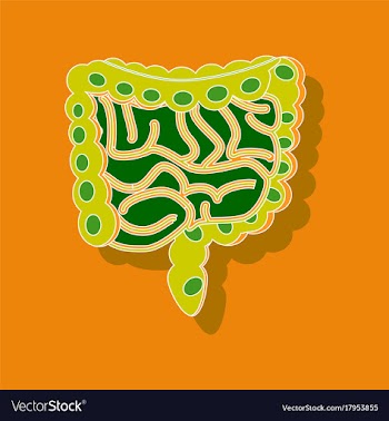 Gastrointestinal tract paper sticker on stylish vector image