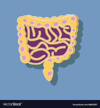 Gastrointestinal tract paper sticker on stylish vector image