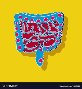 Gastrointestinal tract paper sticker on stylish vector image
