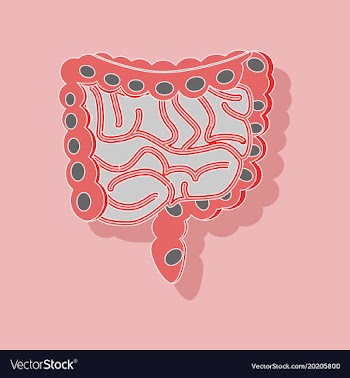 Gastrointestinal tract paper sticker on stylish vector image