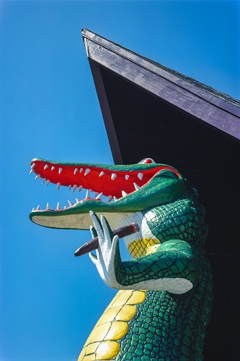 Gatorland Zoo alligator statue, Route 1, St.… | Free public domain photo