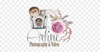 Gauteng Pretoria Johannesburg Krugersdorp Limpopo Gardenroute - Mossel Bay