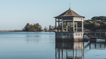 Gazebo Near Body of Water