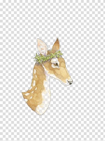 Gazelle Deer, Deer transparent background PNG clipart