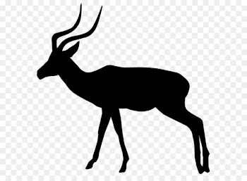 Gazelle Silhouette Impala Clip art - Gazelle Silhouette PNG Transparent Clip Art Image 