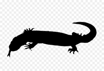 Gecko Amphibians Beak Clip art Fauna -  