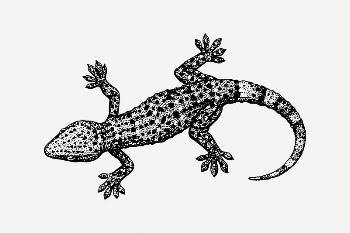 Gecko collage element, black & | Free PSD Illustration - rawpixel