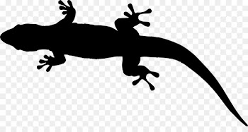 Gecko Lizard Amphibians Clip art Fauna -  