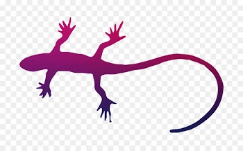 Gecko Lizard Clip art Fauna -  