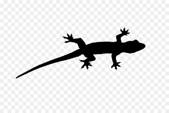 Gecko Lizard Fauna Font Silhouette -  