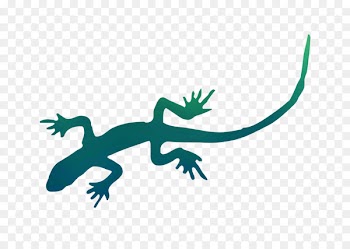 Gecko Lizard Illustration Clip art Drawing -  