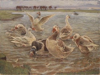 Geese on the Island of Saltholm | Free Photo - rawpixel