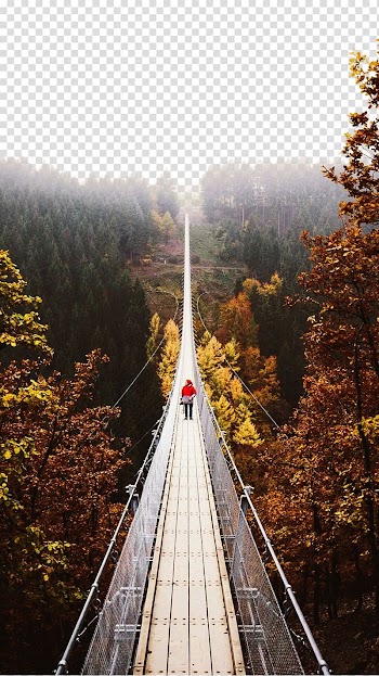 Geierlay Suspension bridge Landscape, bridge transparent background PNG clipart