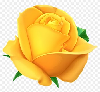 Gelbe Rosen, Clipart, Ausschneidebild, Rosen - Yellow Rose Transparent Background