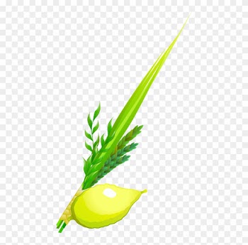Gematria Words - Sukkot - Gematria Words - Sukkot