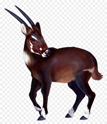 Gemsbok Antelope Deer Horse Saola - unicorn horn 