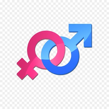 Gender symbol Male Icon - Gender parity 