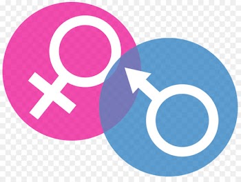 Gender symbol Portable Network Graphics Clip art Gender role - symbol 