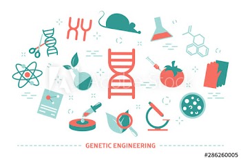 Genetic engineering concept