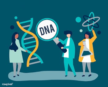 Genetic Scientists conducting research and ex.. | Free stock vector - 480252
