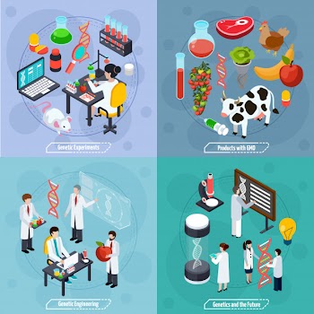 Genetics 2x2 design concept Free Vector