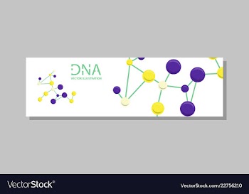 Genetics testing science dna double spiral vector image