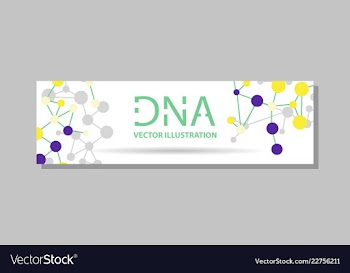 Genetics testing science dna double spiral vector image