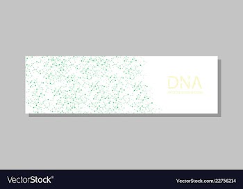 Genetics testing science dna double spiral vector image