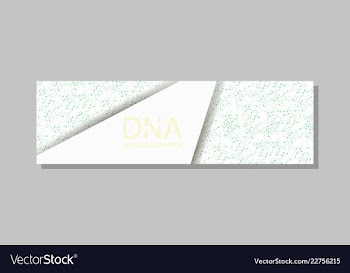Genetics testing science dna double spiral vector image