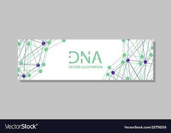 Genetics testing science dna double spiral vector image