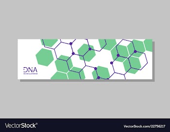 Genetics testing science dna double spiral vector image