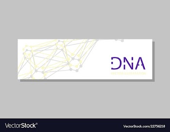Genetics testing science dna double spiral vector image