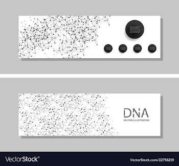 Genetics testing science dna double spiral vector image