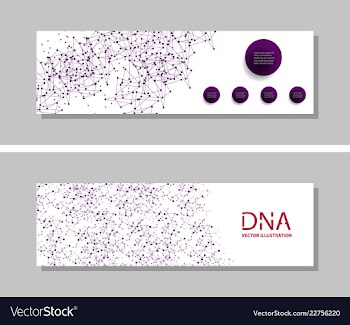 Genetics testing science dna double spiral vector image