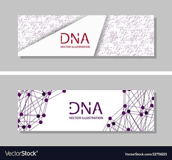 Genetics testing science dna double spiral vector image
