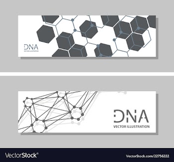 Genetics testing science dna double spiral vector image
