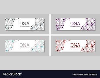 Genetics testing science dna double spiral vector image