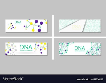 Genetics testing science dna double spiral vector image