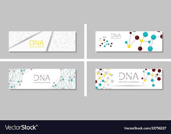 Genetics testing science dna double spiral vector image