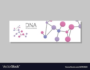 Genetics testing science dna double spiral vector image