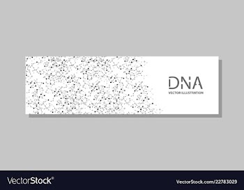 Genetics testing science dna double spiral vector image