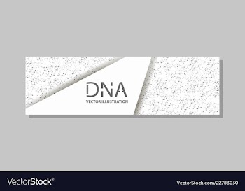 Genetics testing science dna double spiral vector image