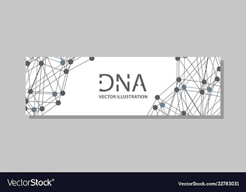Genetics testing science dna double spiral vector image