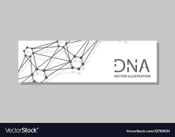 Genetics testing science dna double spiral vector image