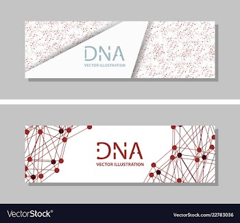 Genetics testing science dna double spiral vector image