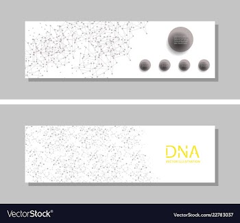 Genetics testing science dna double spiral vector image