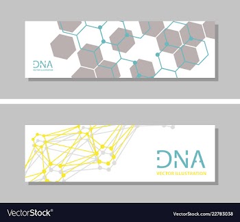 Genetics testing science dna double spiral vector image